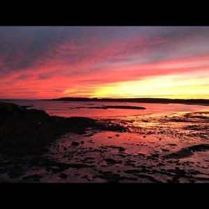 Meet your Posher, Scott